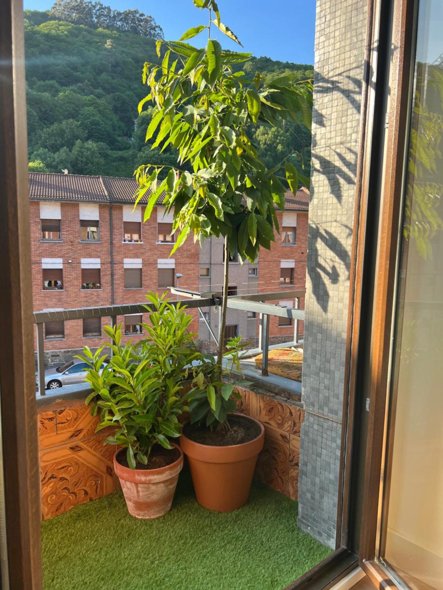 Mountain View Apartment Mieres  Exteriör bild